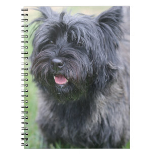 Carnet Le Caire