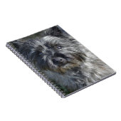 Carnet Le cairn Terrier font face (Côté Droit)