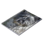 Carnet Le cairn Terrier font face (Côté gauche)