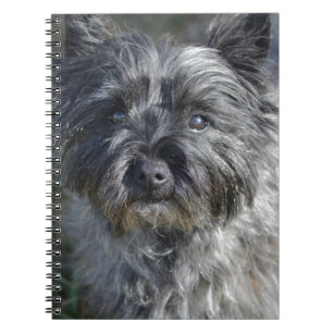 Carnet Le cairn Terrier font face