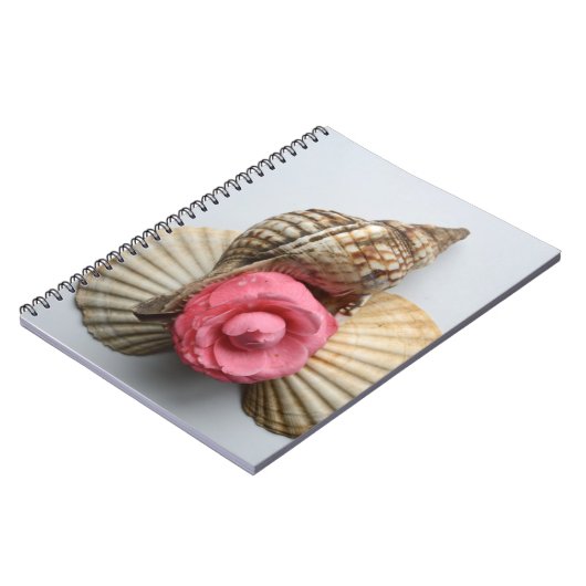 Carnet Le camélia et les coquilles (Côté gauche)