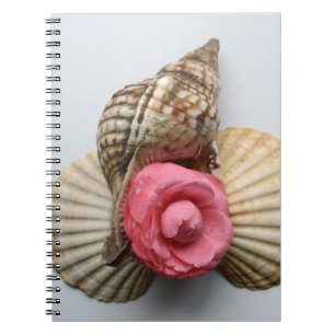 Carnet Le camélia et les coquilles
