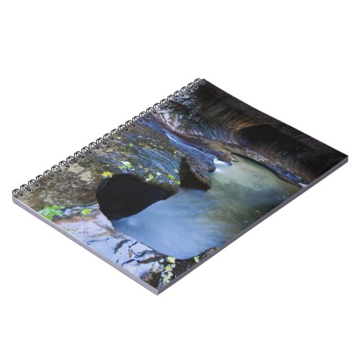 Carnet Le canyon de fente de souterrain (Côté gauche)