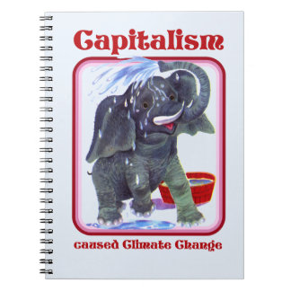 Carnet Le capitalisme a causé le changement climatique