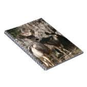 Carnet Le cerf dit bonjour (Côté Droit)