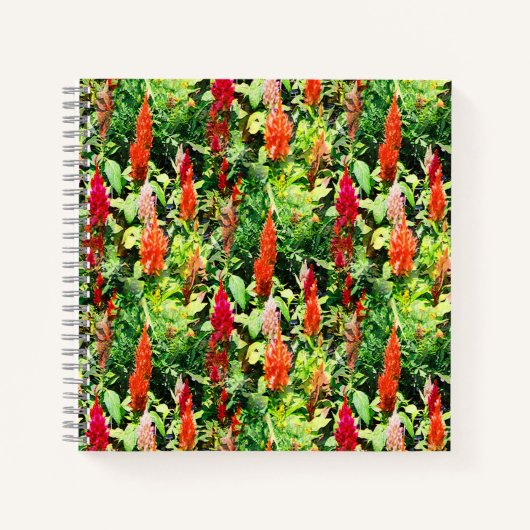 Carnet Le champ de fleurs..... (Devant)