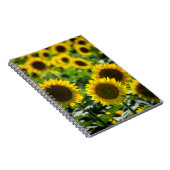 Carnet - Le Champ de Tournesols (Côté Droit)