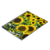 Carnet - Le Champ de Tournesols (Côté gauche)