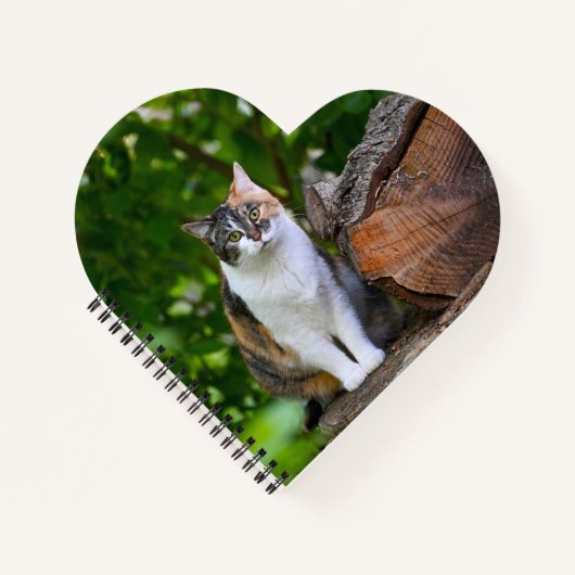 Carnet Le Chat     (Devant)