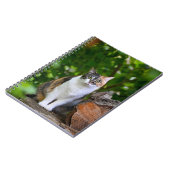 Carnet Le chat (Côté gauche)