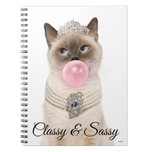 Carnet Le Chat de la princesse soufflant de la bulle