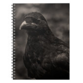 Carnet Le chercheur (Devant)