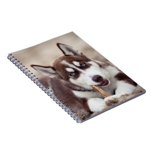 Carnet Le chiot sibérien Husky à la plage (Côté Droit)