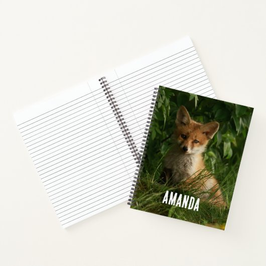 Carnet Le chou renard dans une forêt verte (Intérieur)