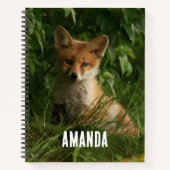 Carnet Le chou renard dans une forêt verte (Devant)
