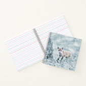 Carnet Le club Fox dans la neige (Intérieur)