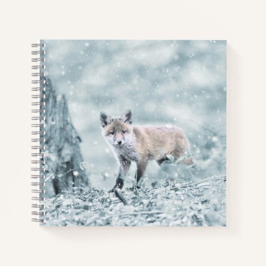 Carnet Le club Fox dans la neige (Devant)