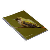 Carnet Le colibri d'Anna sur Trumpetvine écarlate (Côté Droit)