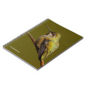 Carnet Le colibri d'Anna sur Trumpetvine écarlate (Côté gauche)