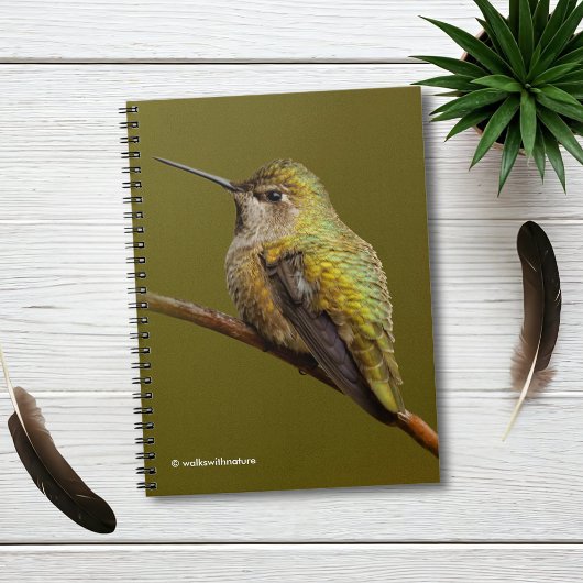 Carnet Le colibri d'Anna sur Trumpetvine écarlate