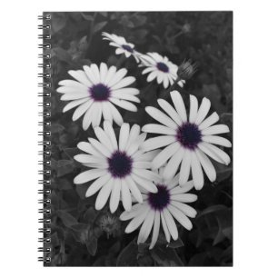 Carnet Le contraste subtil de la nature