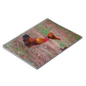 Carnet Le coq et ses poules (Côté gauche)