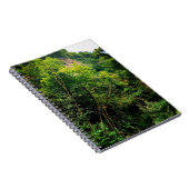 Carnet Le côté des arbres (Côté Droit)