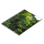 Carnet Le côté des arbres (Côté gauche)