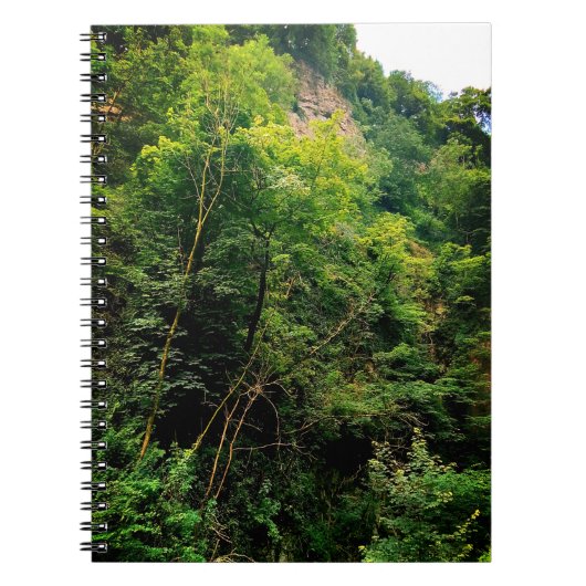 Carnet Le côté des arbres (Devant)