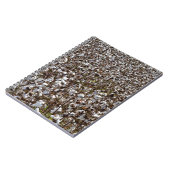 Carnet Le coton cultive le champ (Côté gauche)