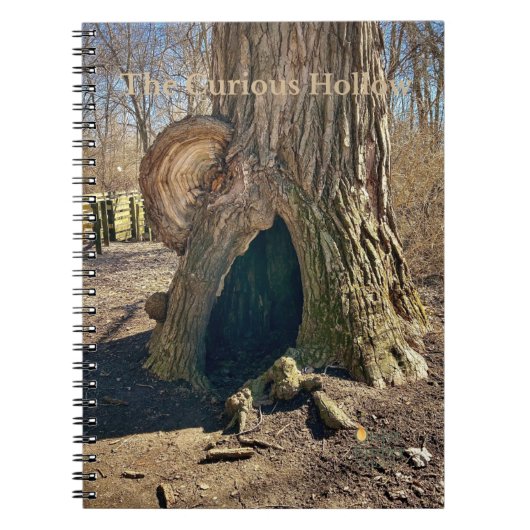 Carnet Le Creux Curieux (Devant)
