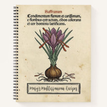 Le Crocus Or Rouge : Recette Médiévale de Safran