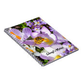 Carnet Le Crocus Taster (Côté Droit)