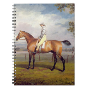 Carnet Le duc du déguisement de Hamilton avec le jockey