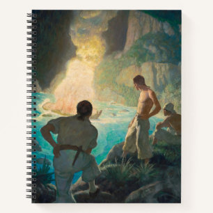 Carnet Le feu de la générosité par Newell Convers Wyeth
