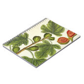 Carnet Le figuier, plaquent 125 "d'un de fines herbes (Côté gauche)