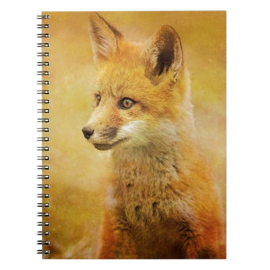 Carnet Le Fox dans le bois (Devant)