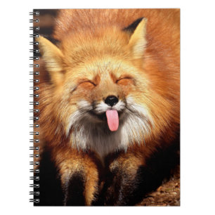 Carnet Le Fox drôle le collant est langue