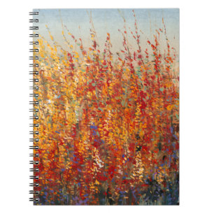 Carnet Le haut désert fleurit II