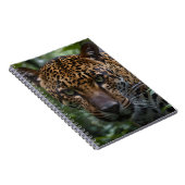 Carnet Le Jaguar Posé Marque Dans La Forêt, (Côté Droit)