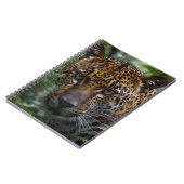 Carnet Le Jaguar Posé Marque Dans La Forêt, (Côté gauche)