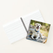 Carnet Le Labrador Jaune Pose Sur Le Banc (Intérieur)