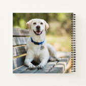 Carnet Le Labrador Jaune Pose Sur Le Banc (Dos)