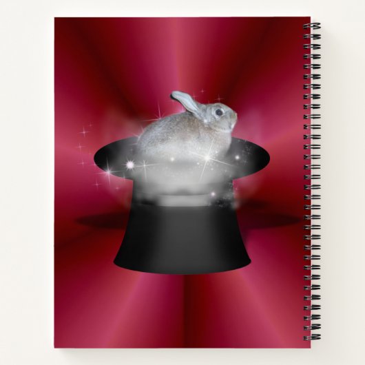 Carnet Le lapin du magicien (Dos)