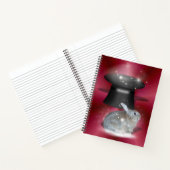 Carnet Le lapin du magicien (Intérieur)