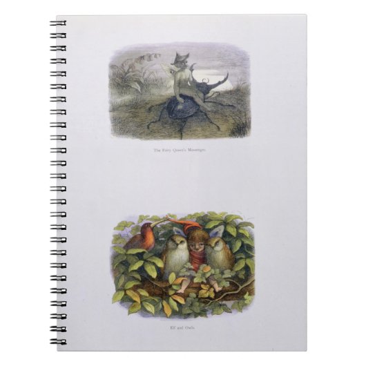 Carnet Le Messager de la Reine des Fées, et Elfe et Choue (Devant)