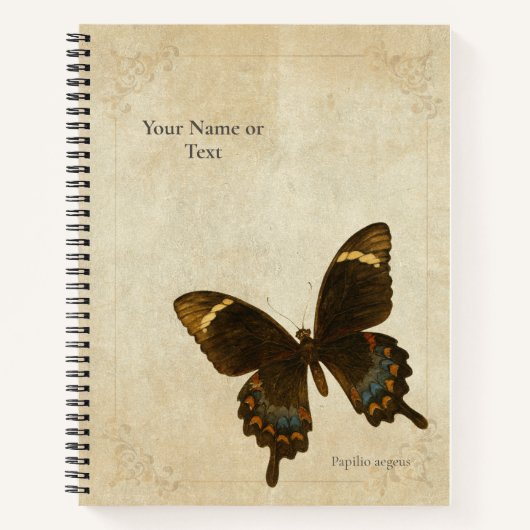 Carnet Le Monarque des Mandarins : Papillon de l'Orchard (Devant)