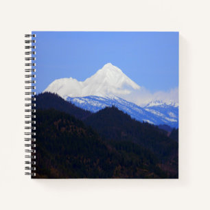 Carnet Le mont Shasta au printemps...