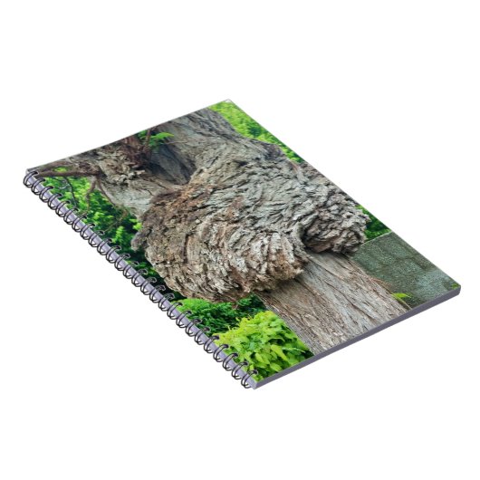 Carnet Le noeud sur le tronc d'arbre, Knar, le vert de la (Côté Droit)