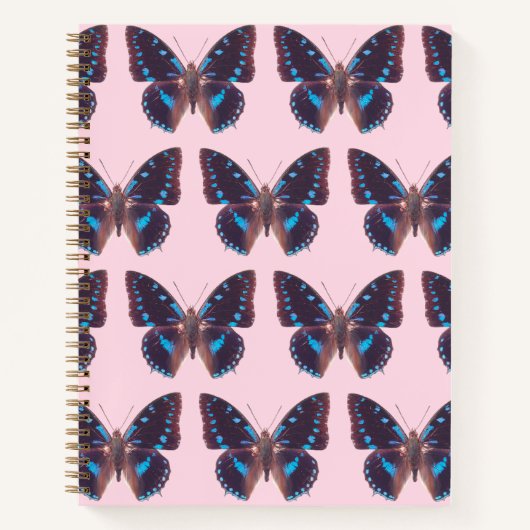 Carnet Le Papillon à queue bleue (Devant)